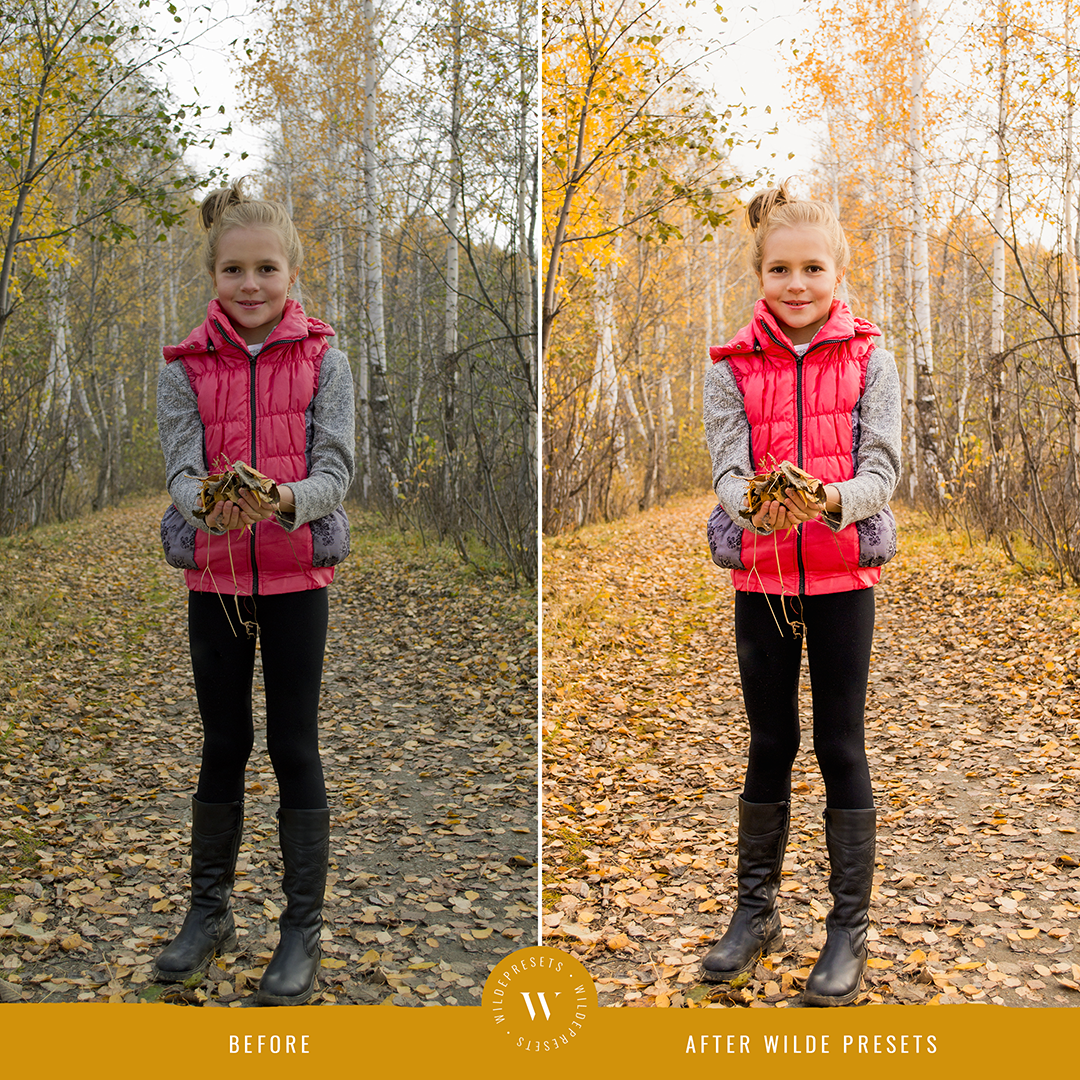 The Autumn Gold Preset Collection