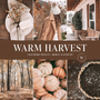 The Warm Harvest Preset Collection