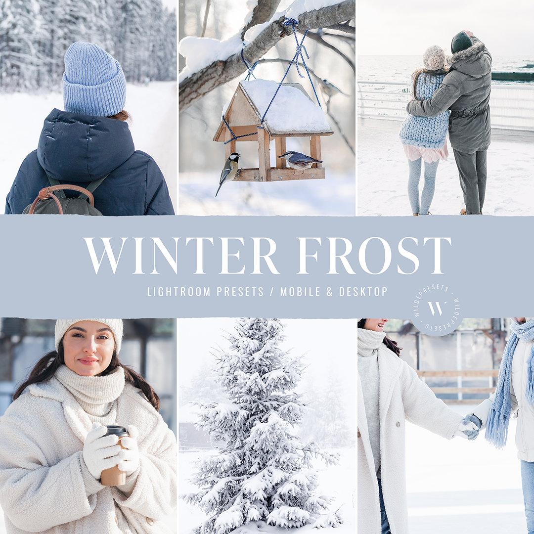 The Winter Frost Preset Collection