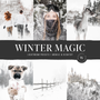 The Winter Magic Preset Collection