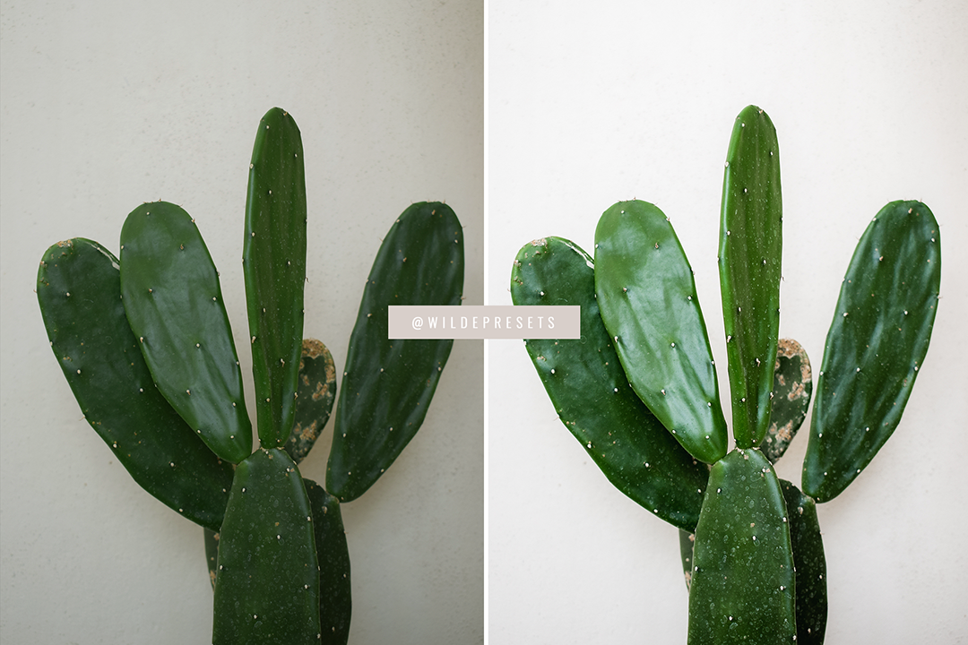 The Bright & Clean Preset Collection