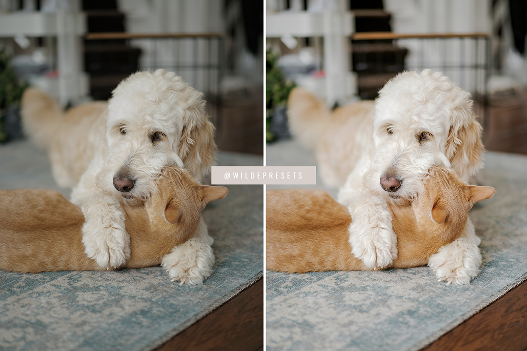 The Bright & Clean Preset Collection