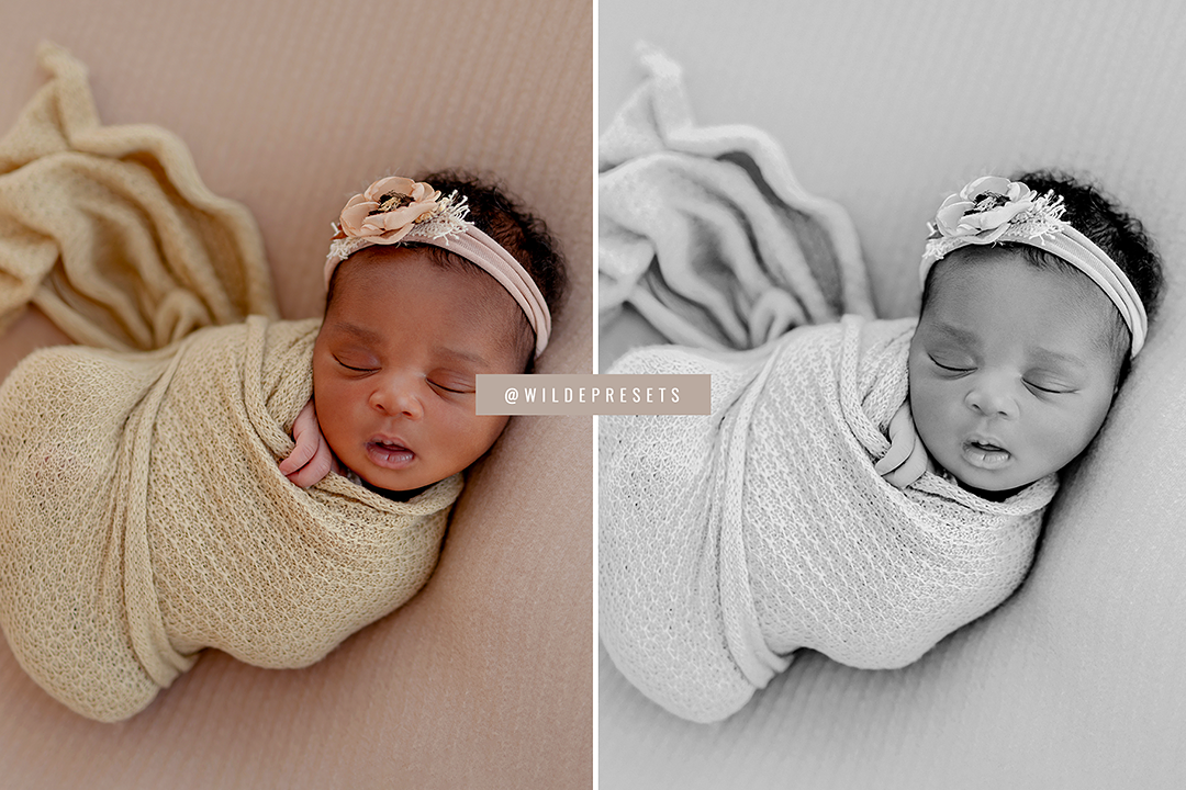 The Natural Newborn Preset Collection