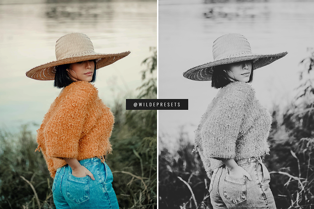 The Dreamy BW Preset Collection