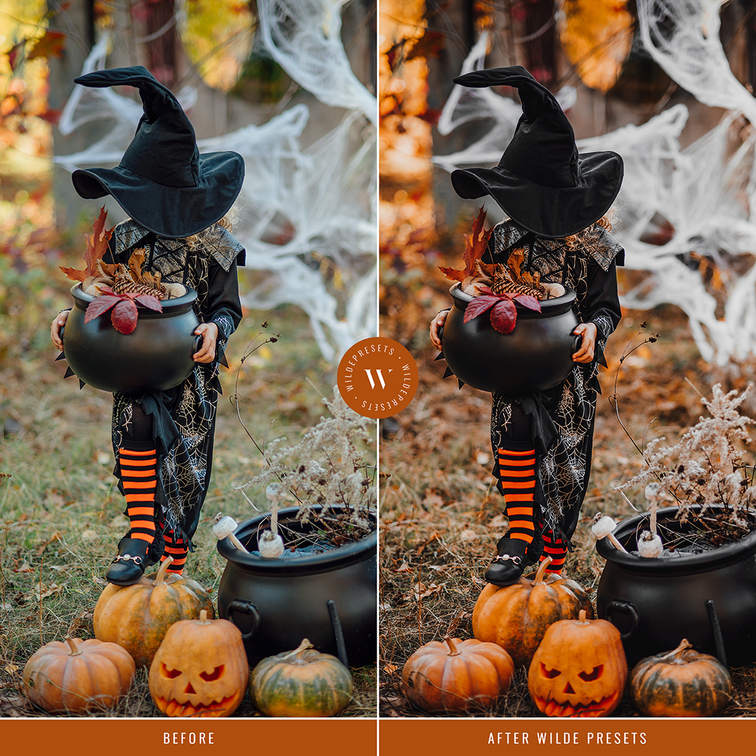 The Halloween Preset Collection