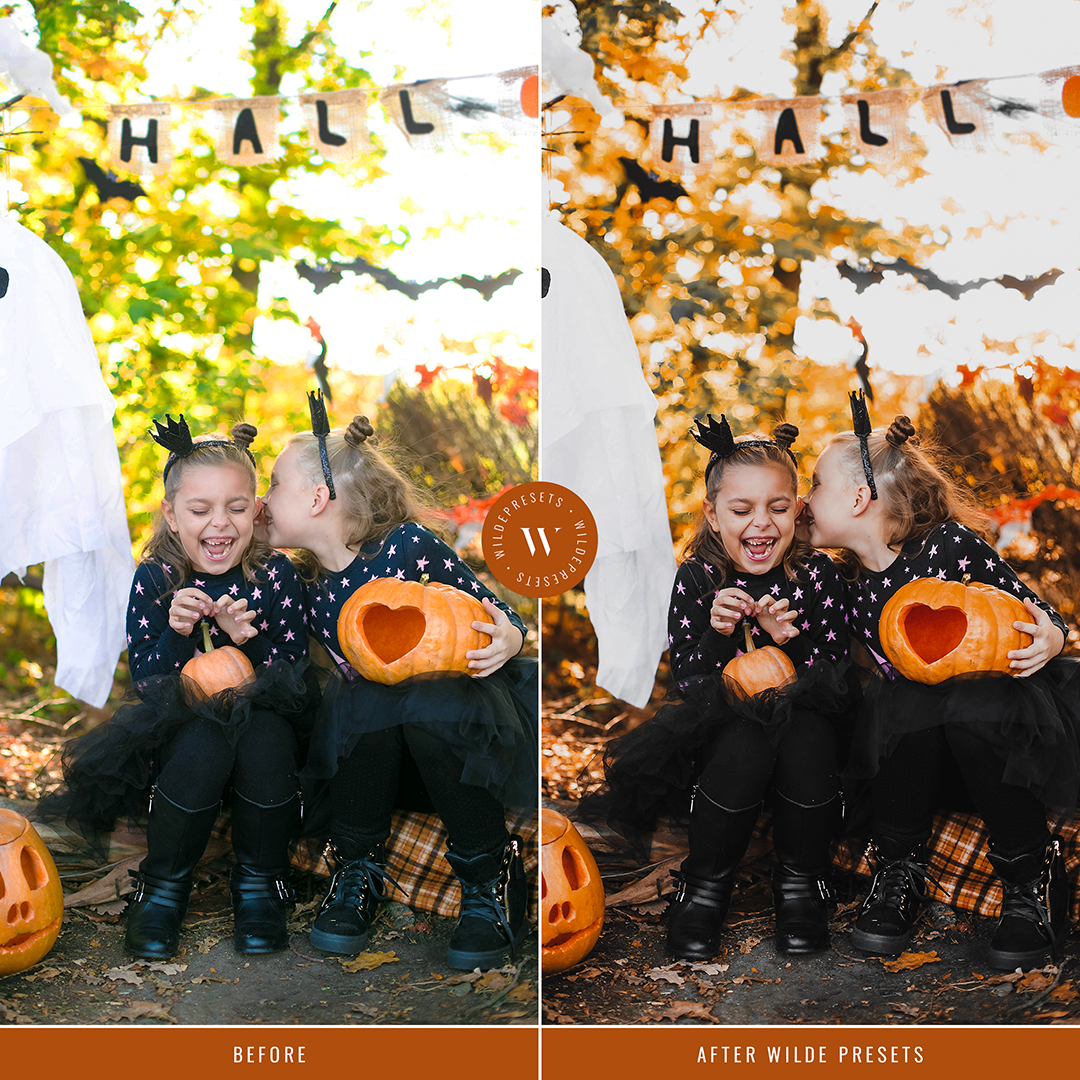 The Halloween Preset Collection