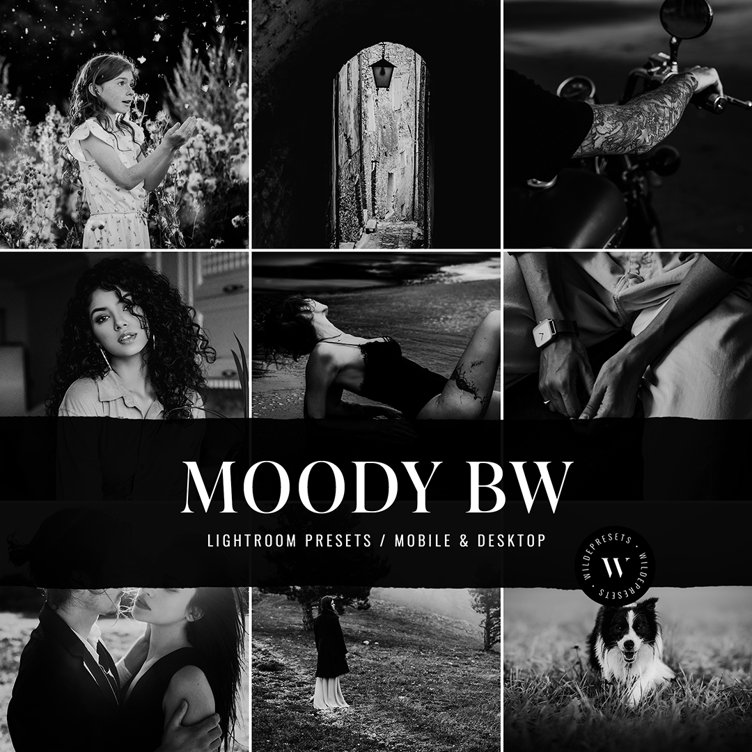 The Moody BW Preset Collection
