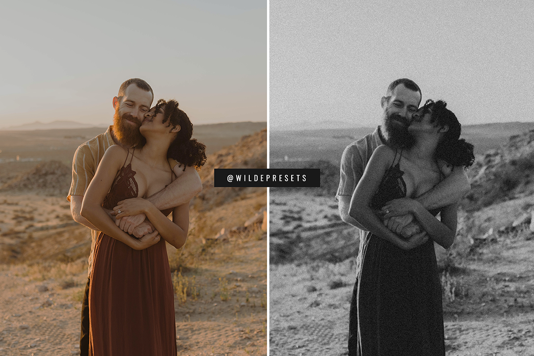 The Moody Film BW Preset Collection