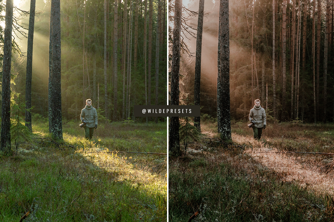 The Moody Woodlands Preset Collection