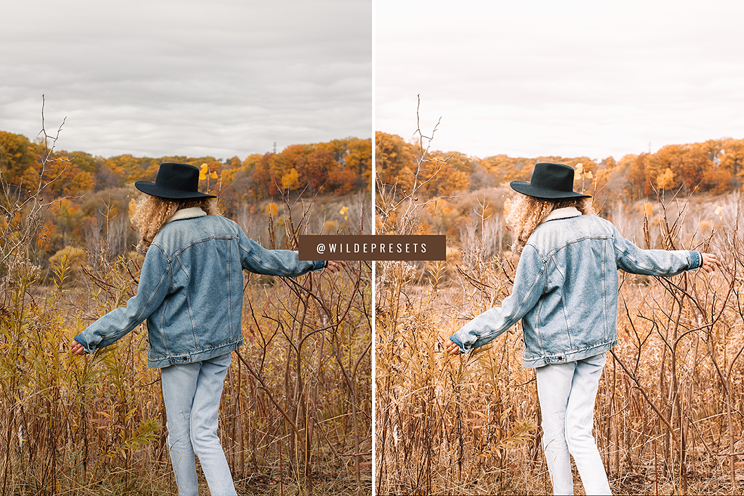 The Warm Harvest Preset Collection