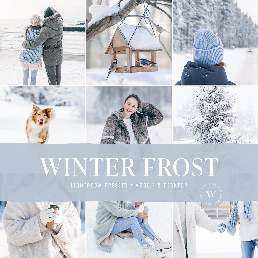 The Winter Frost Preset Collection