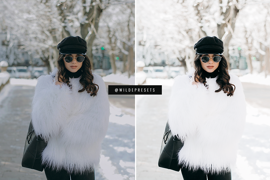 The Winter Blogger Preset Collection