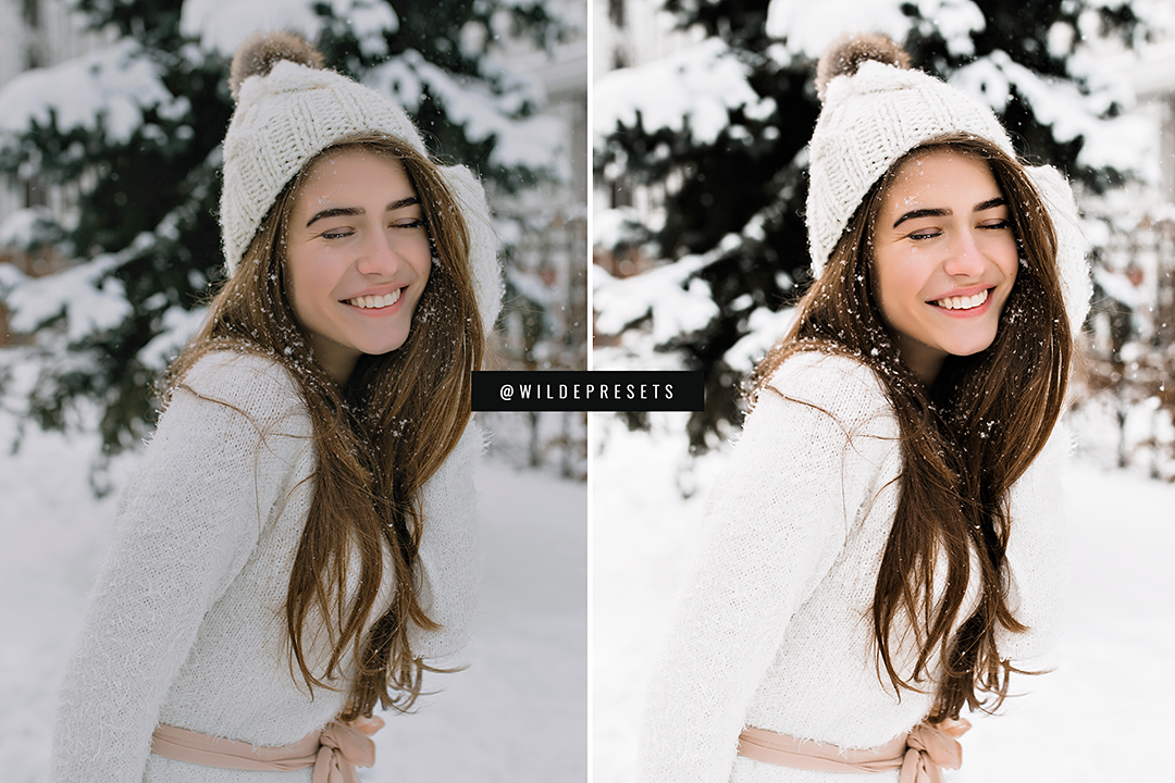 The Winter Blogger Preset Collection