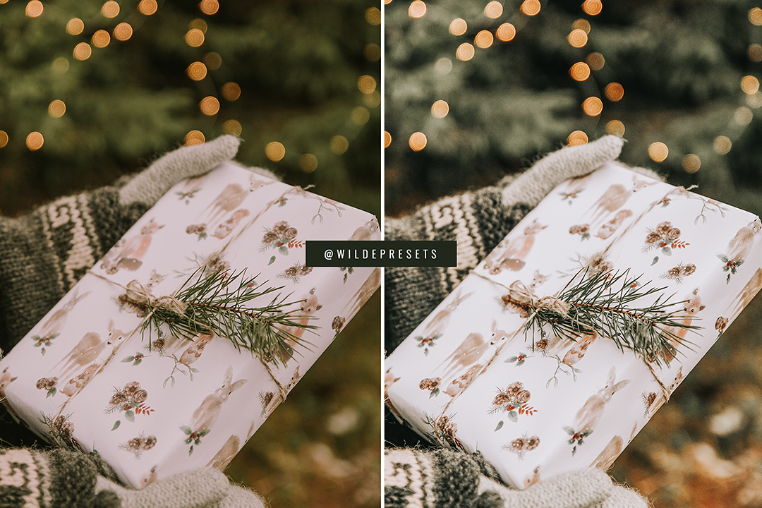 The Winter Green Preset Collection
