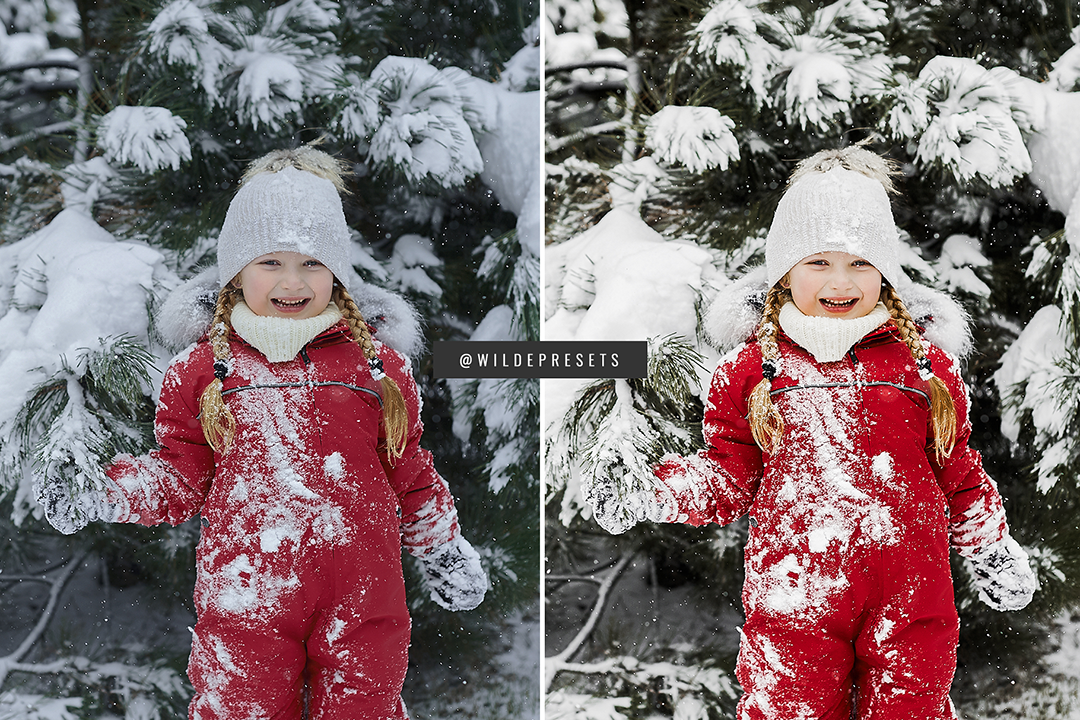The Winter Magic Preset Collection
