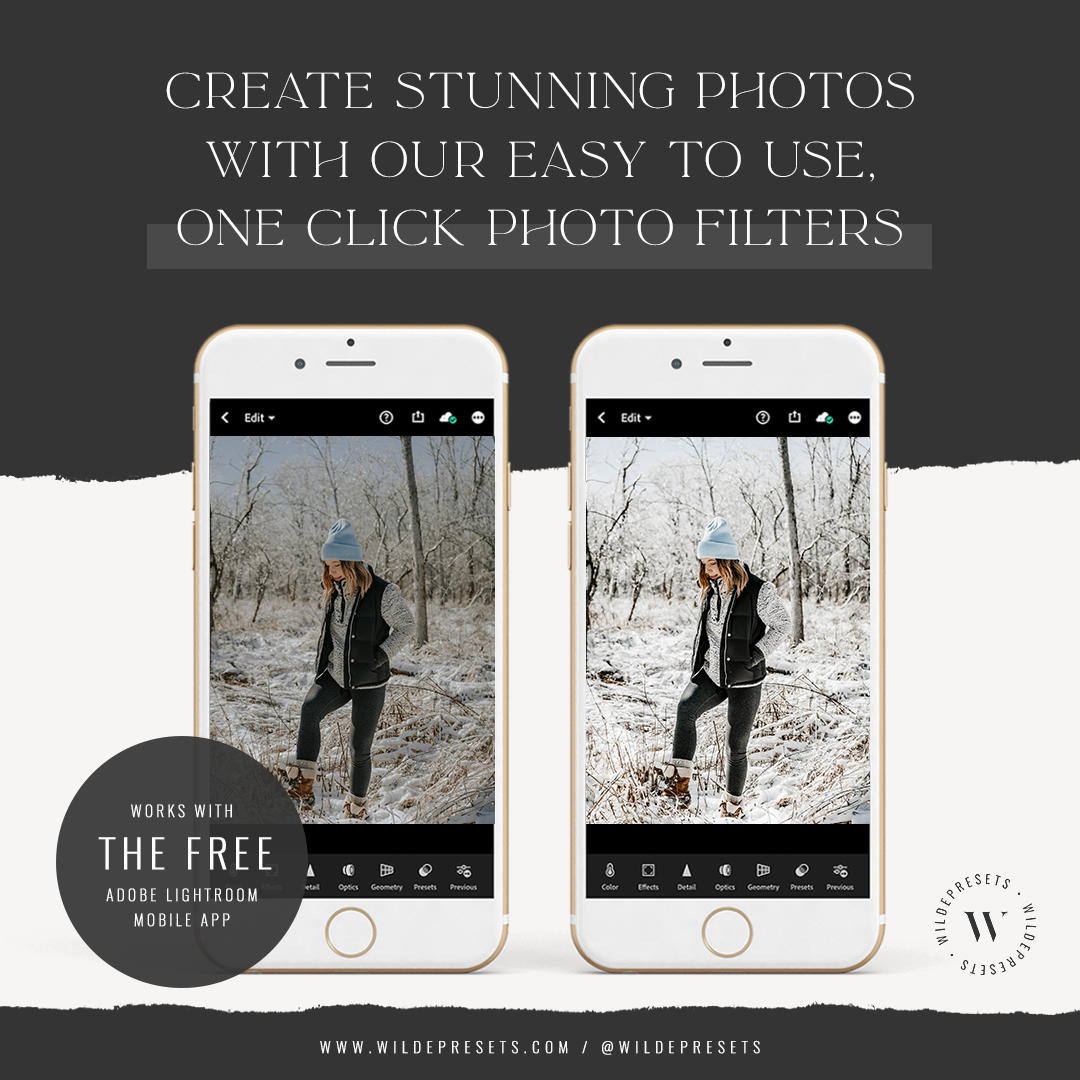 The Winter Magic Preset Collection