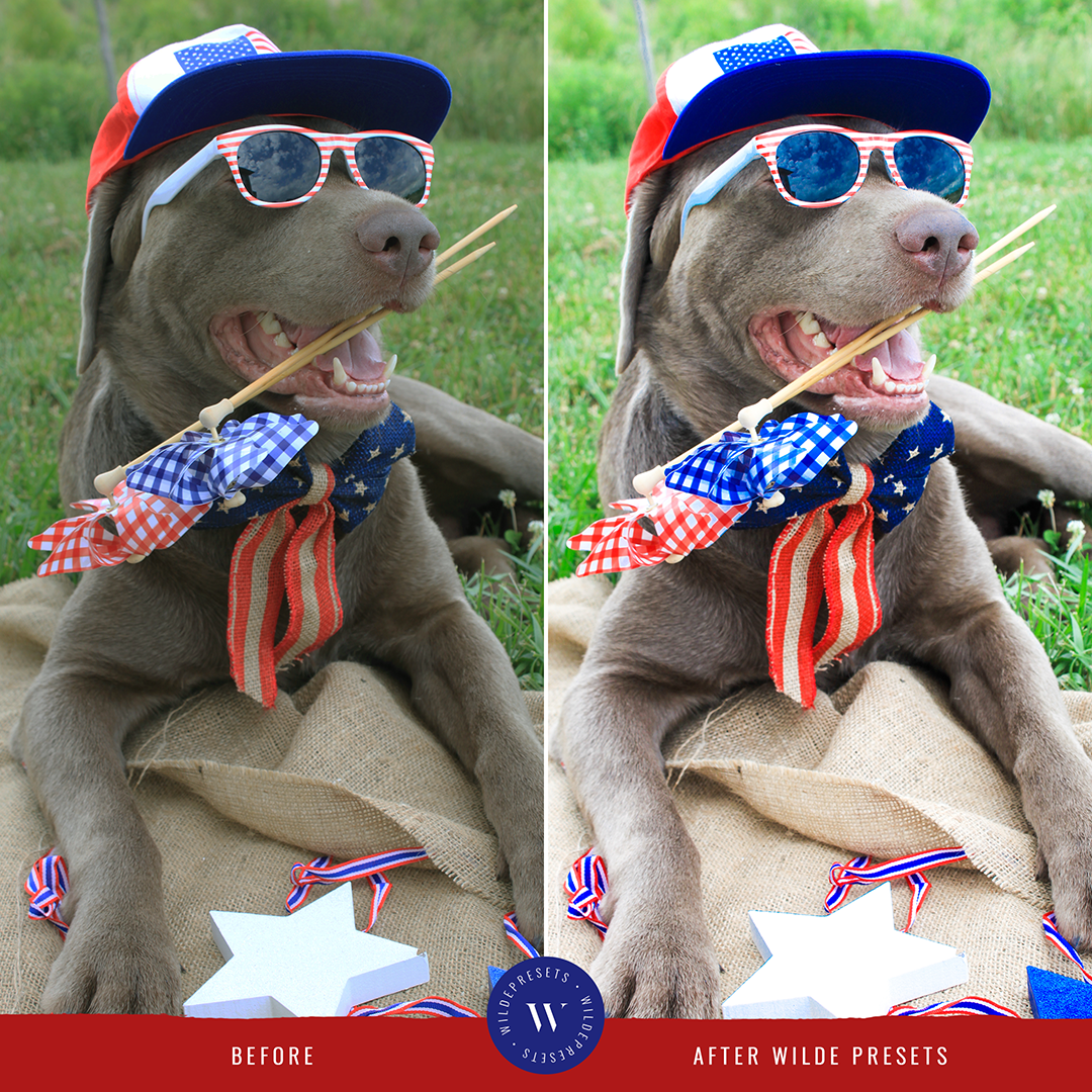 The 4th Of July Preset Collection