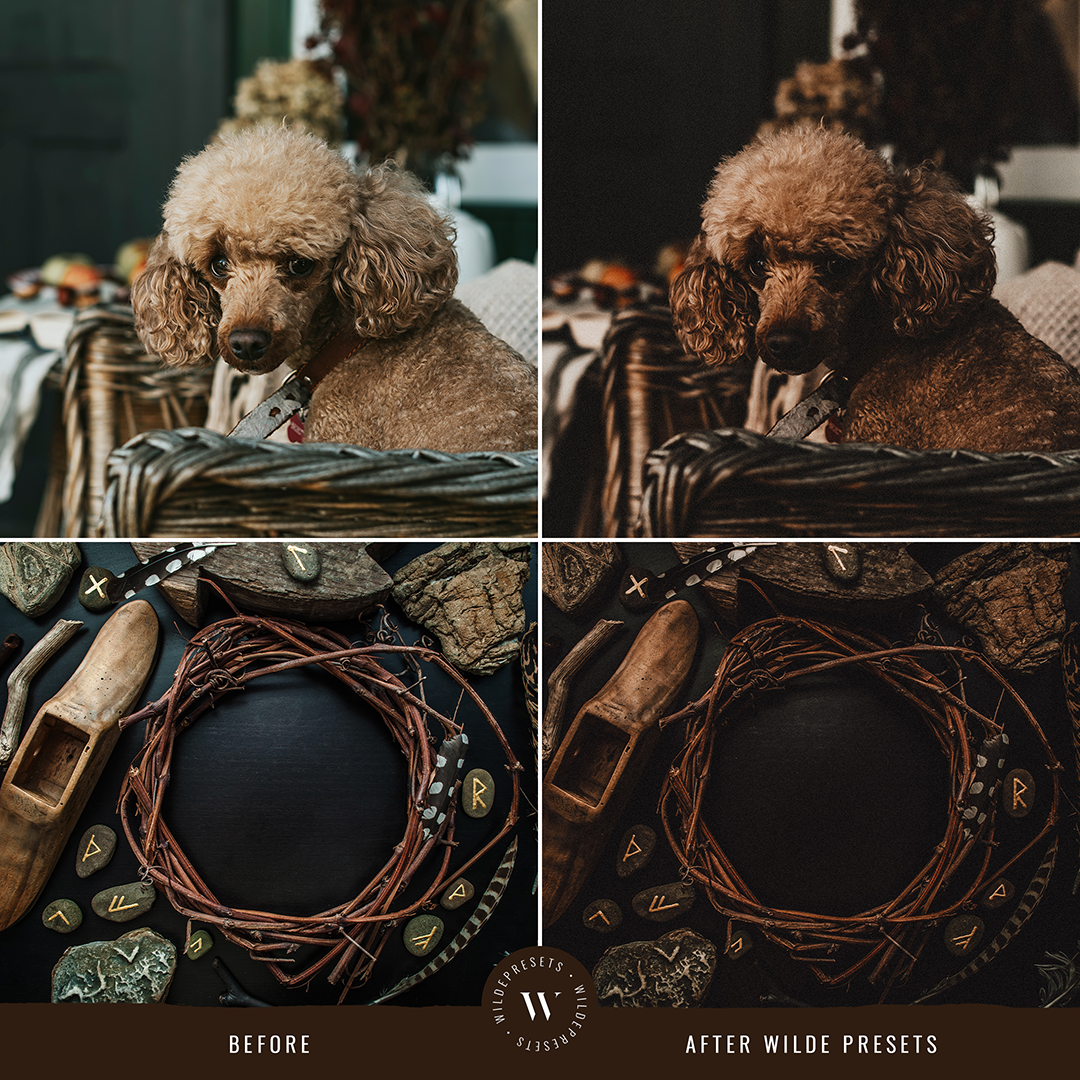 The Autumn Film Preset Collection