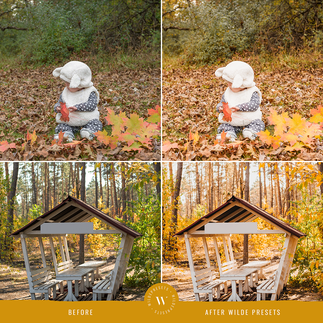 The Autumn Gold Preset Collection