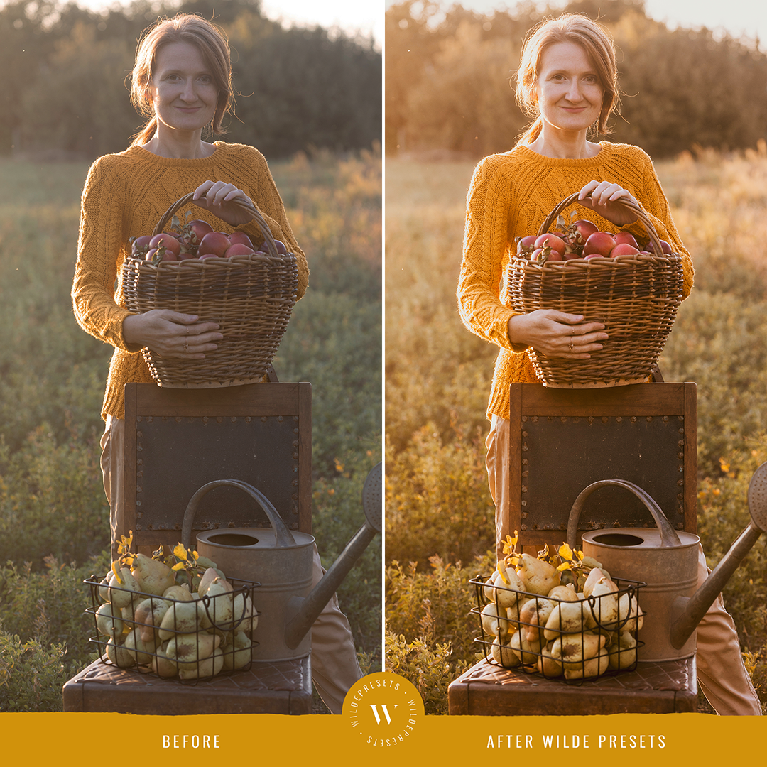 The Autumn Gold Preset Collection