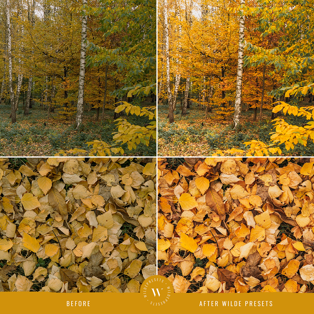 The Autumn Gold Preset Collection