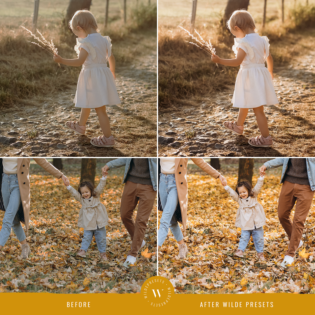 The Autumn Gold Preset Collection
