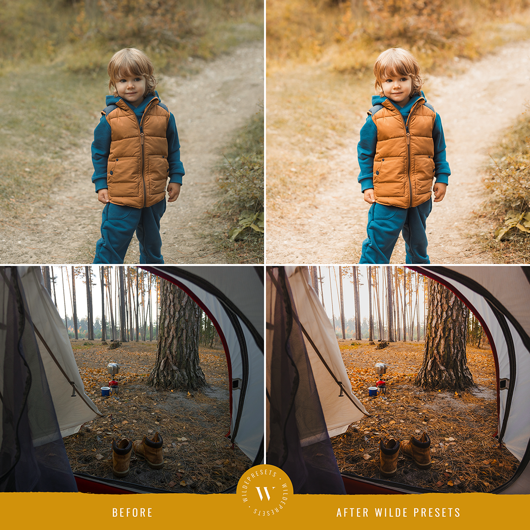 The Autumn Gold Preset Collection