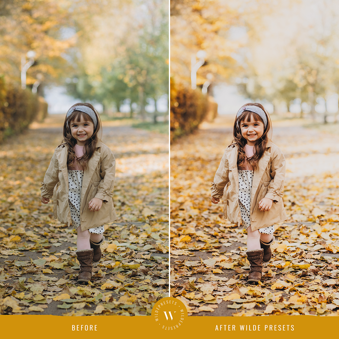 The Autumn Gold Preset Collection