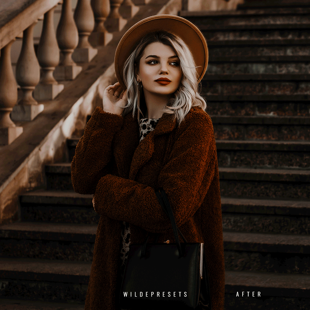 The Moody Fall Preset Collection
