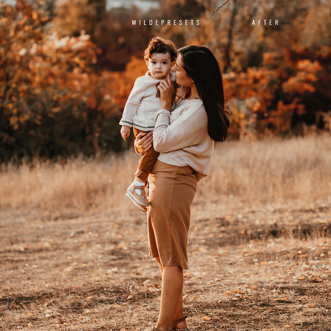 The Pumpkin Spice Preset Collection