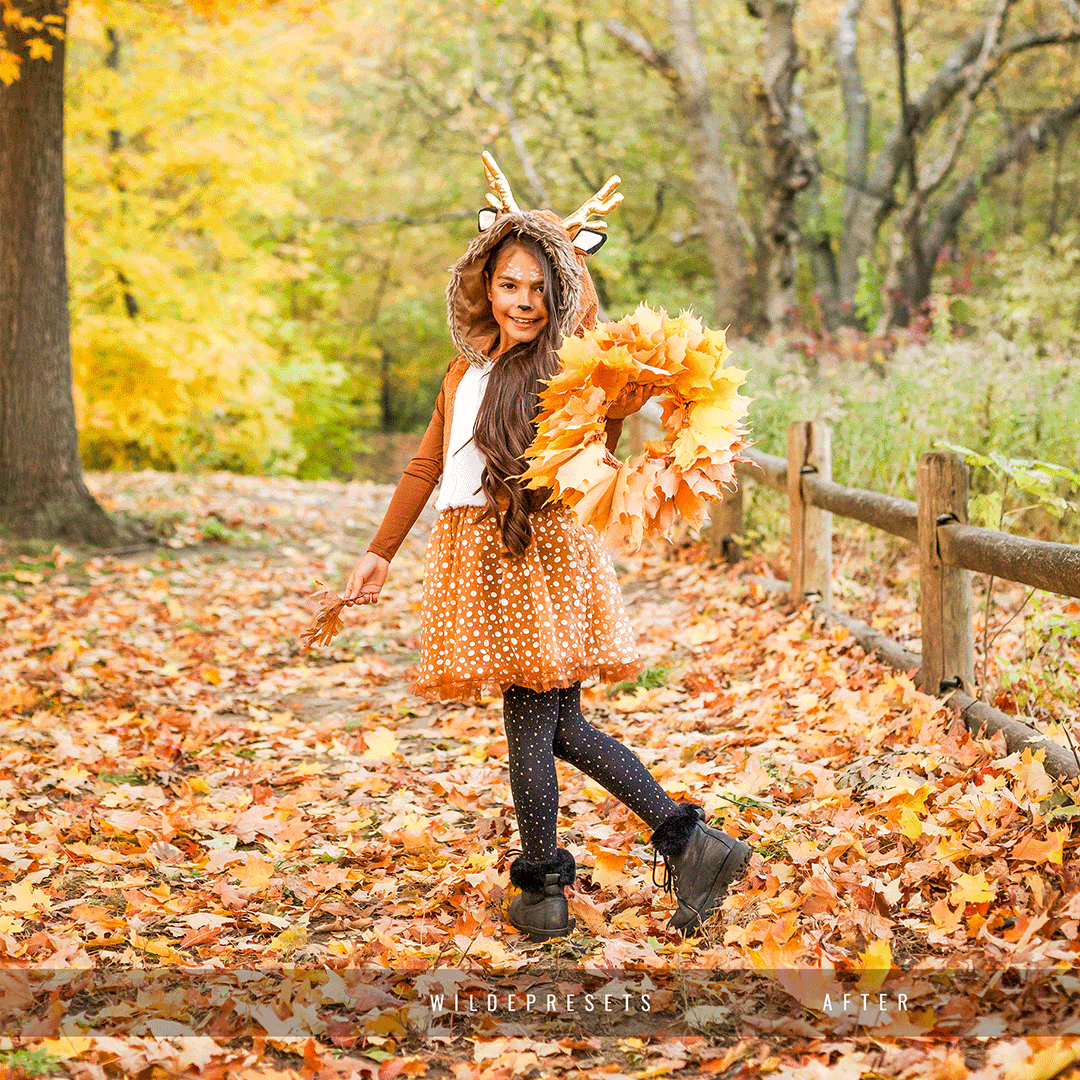 The Vibrant Fall Preset Collection