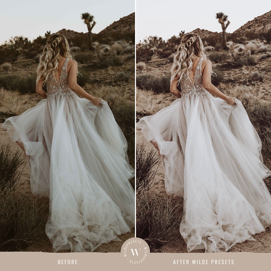 The Bohemian Dream Preset Collection