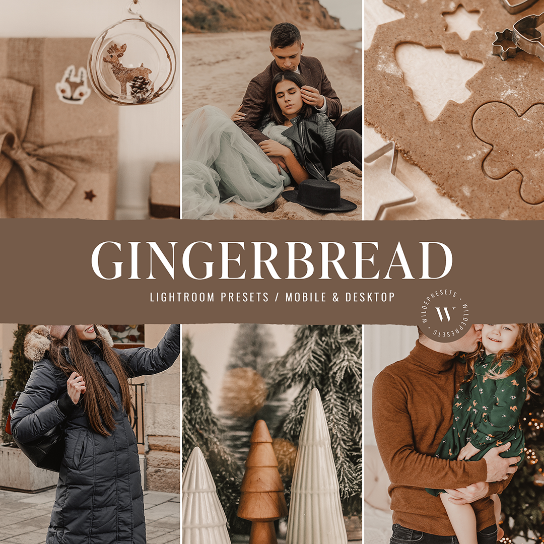 The Holiday Preset Bundle