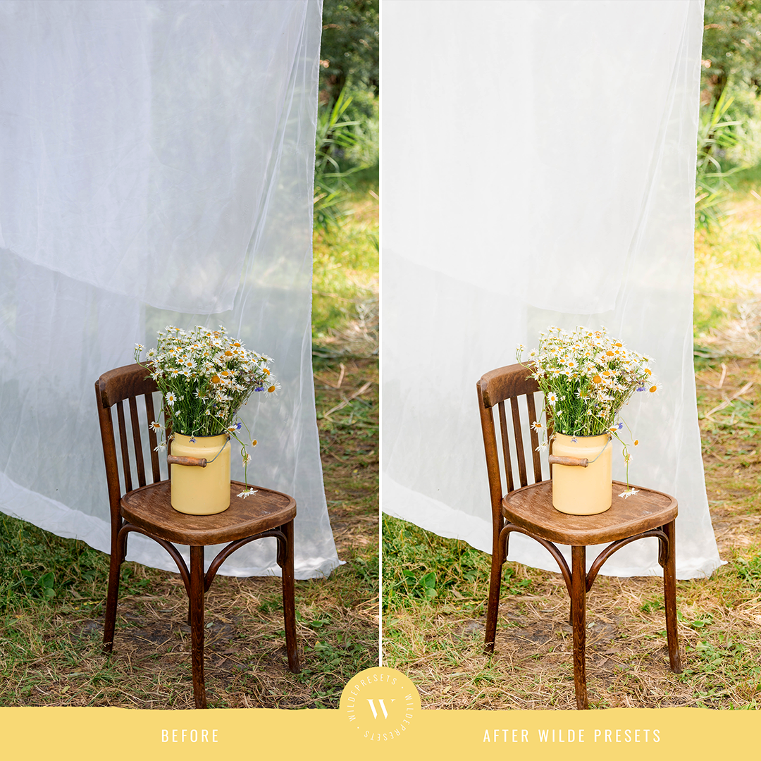 The Lemonade Preset Collection