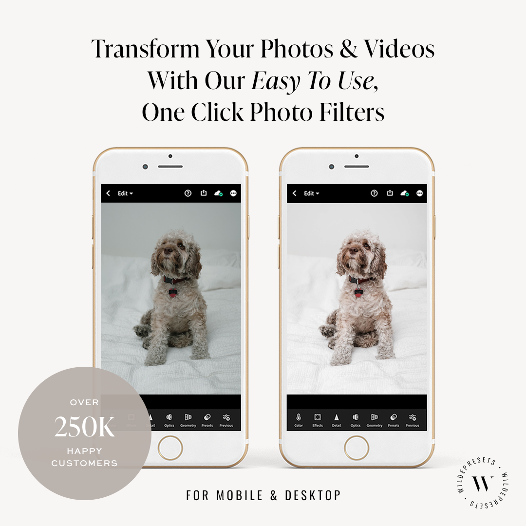 The Lifestyle Pet Preset Collection