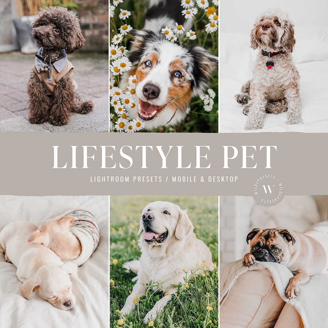 The Lifestyle Pet Preset Collection