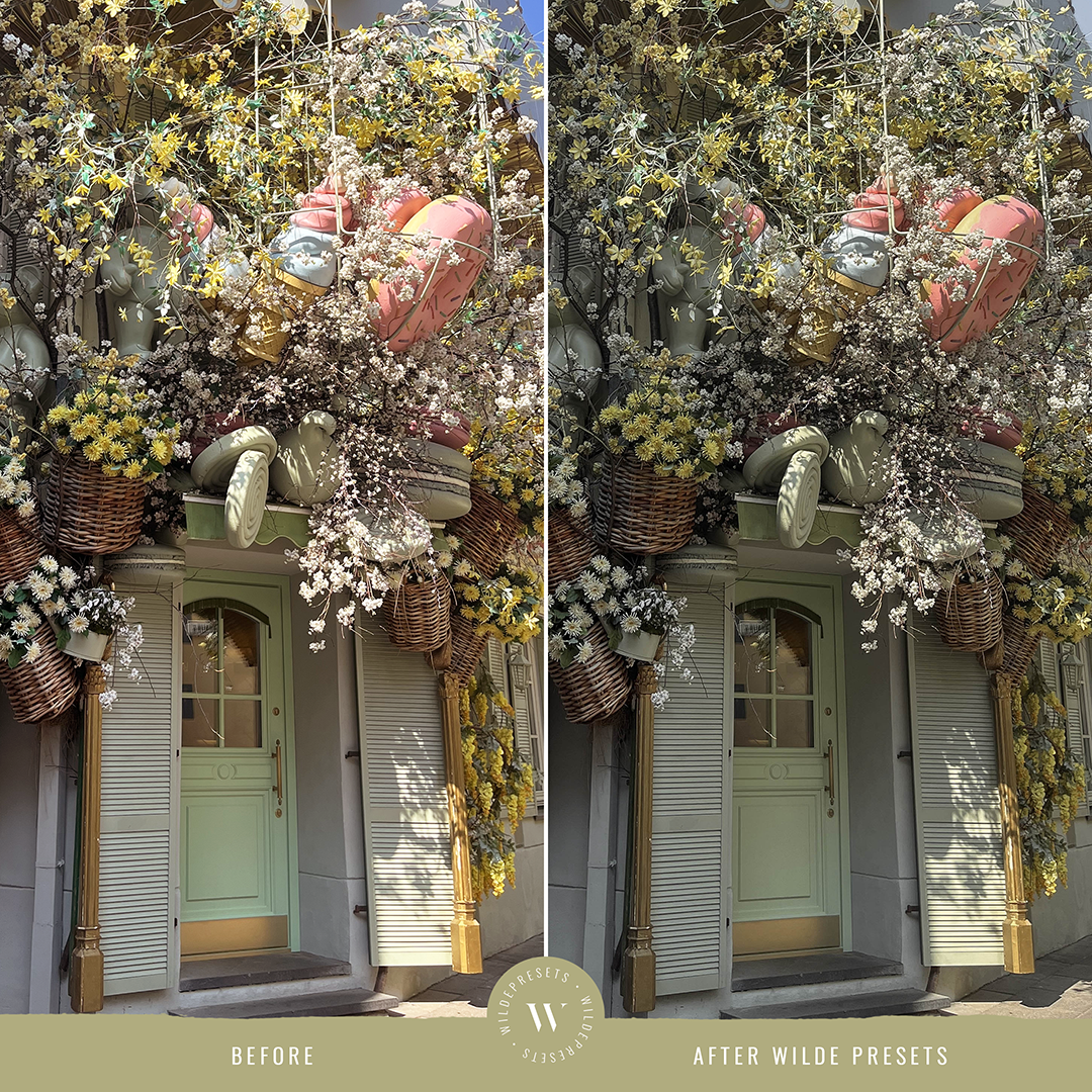 The Matcha Dream Preset Collection