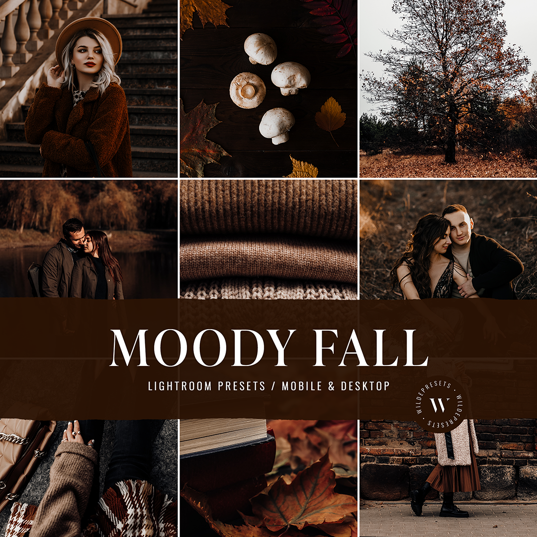 The Moody Fall Preset Collection