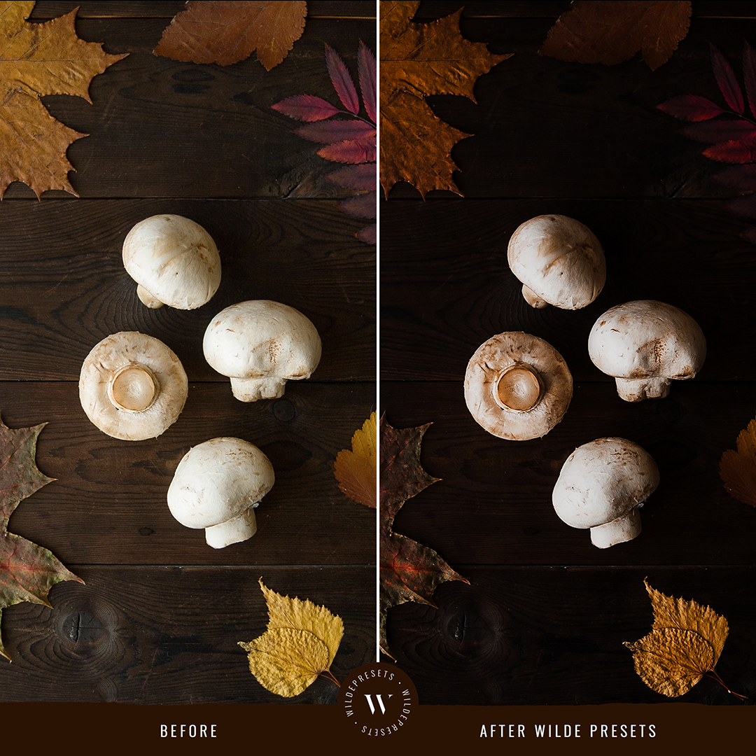 The Moody Fall Preset Collection