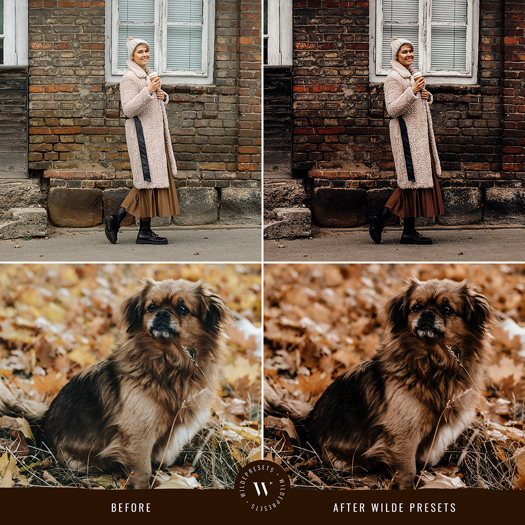 The Moody Fall Preset Collection