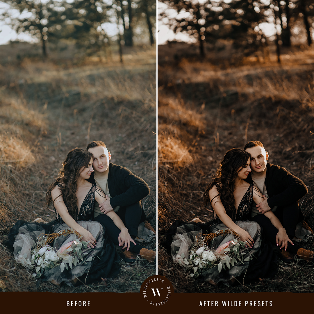 The Moody Fall Preset Collection