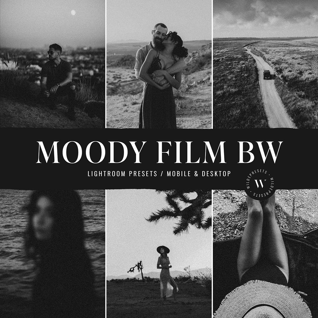 The Moody Film BW Preset Collection