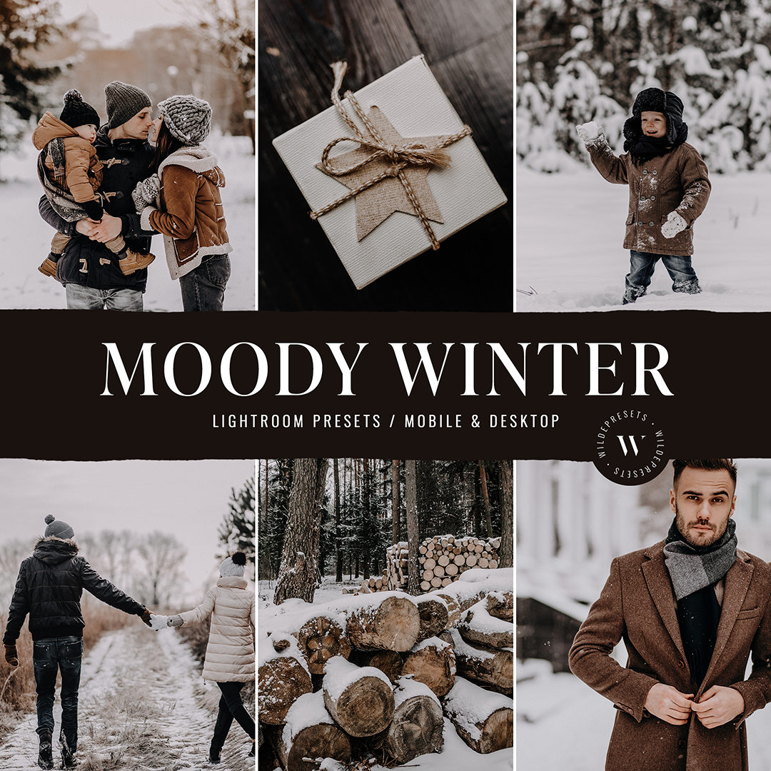 The Moody Winter Preset Collection