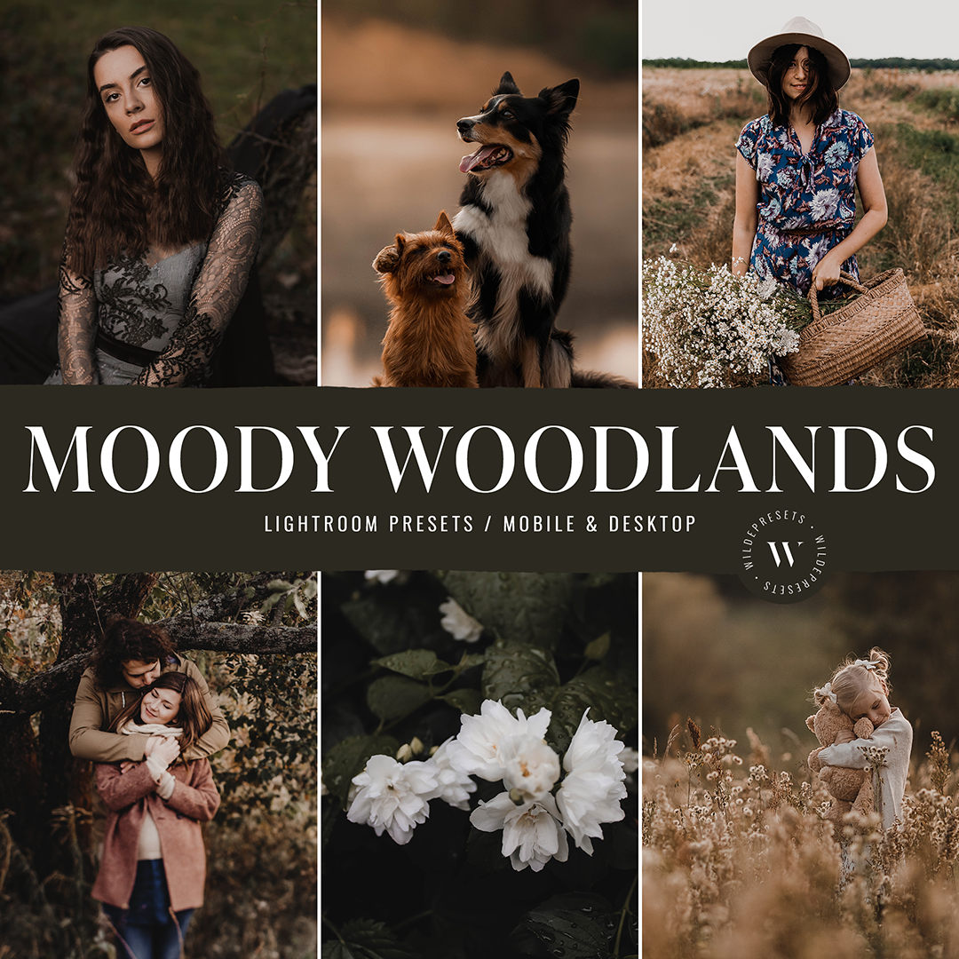 The Moody Woodlands Preset Collection
