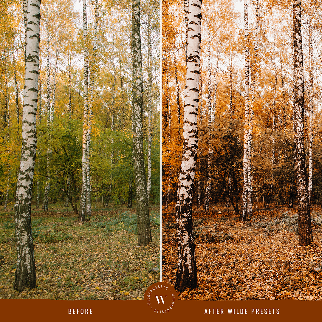 The Pumpkin Spice Preset Collection