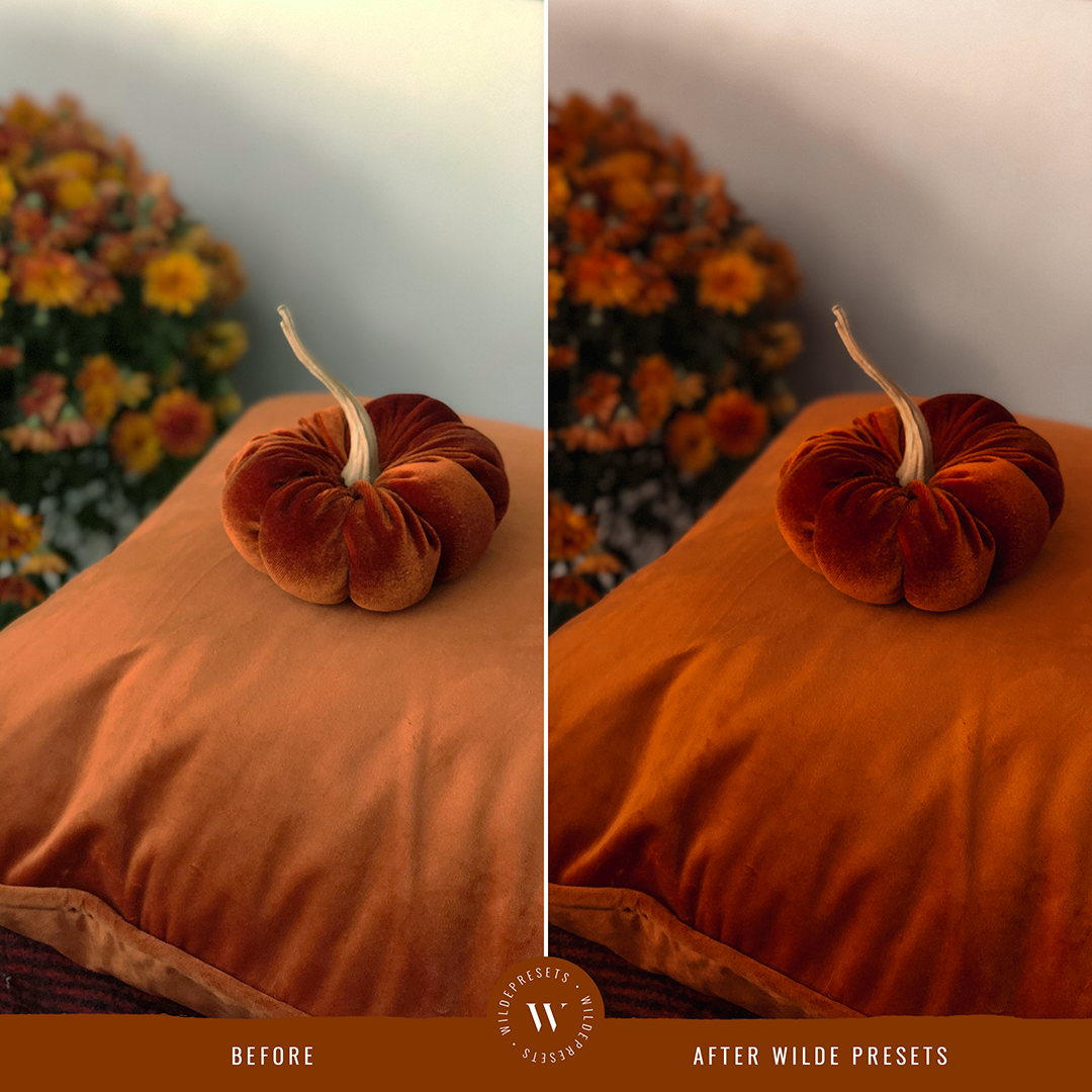 The Pumpkin Spice Preset Collection