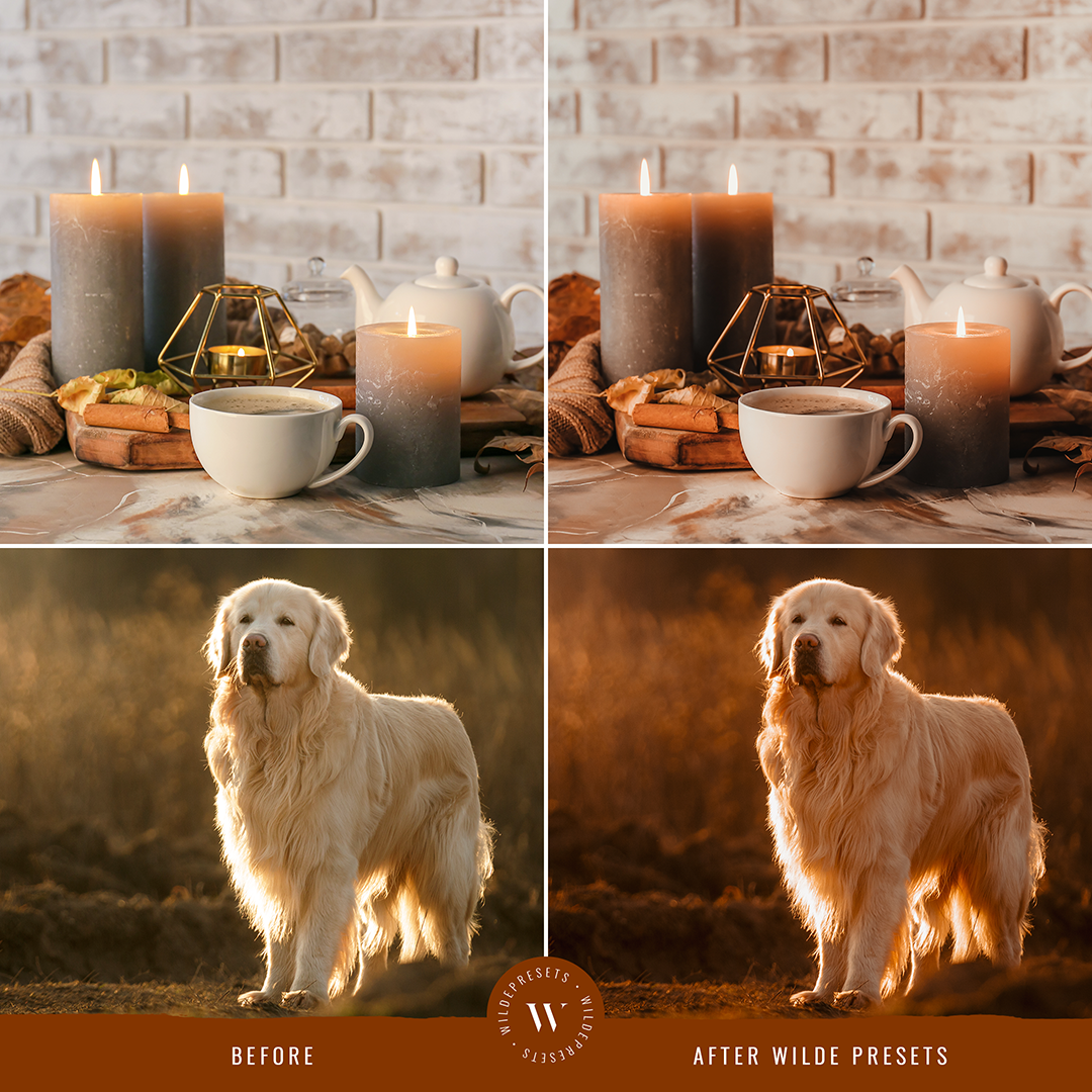 The Pumpkin Spice Preset Collection