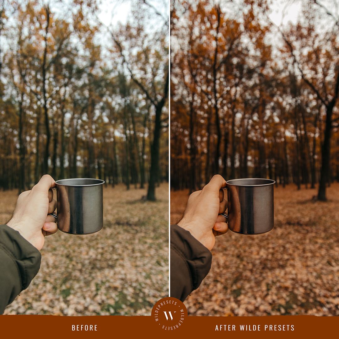 The Pumpkin Spice Preset Collection