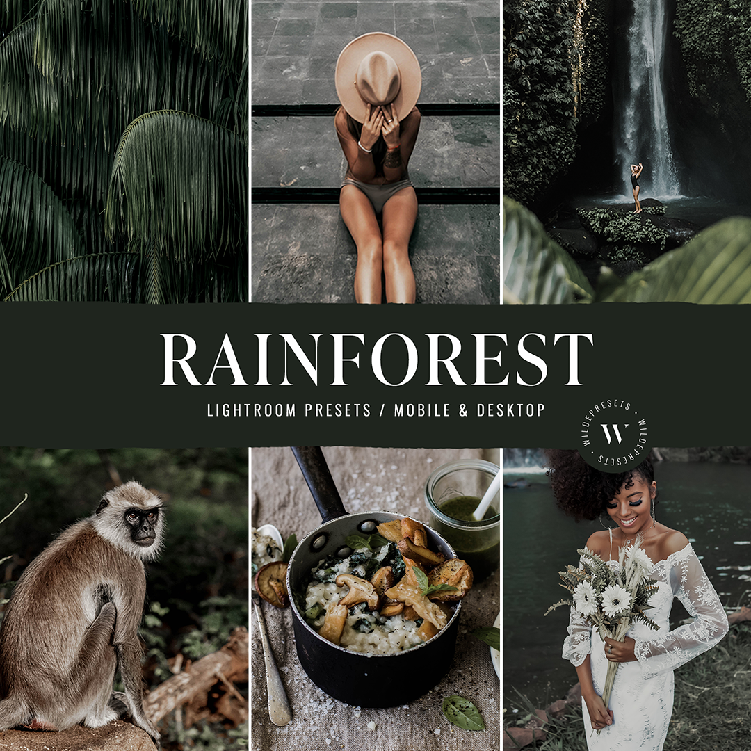 The Rainforest Preset Collection