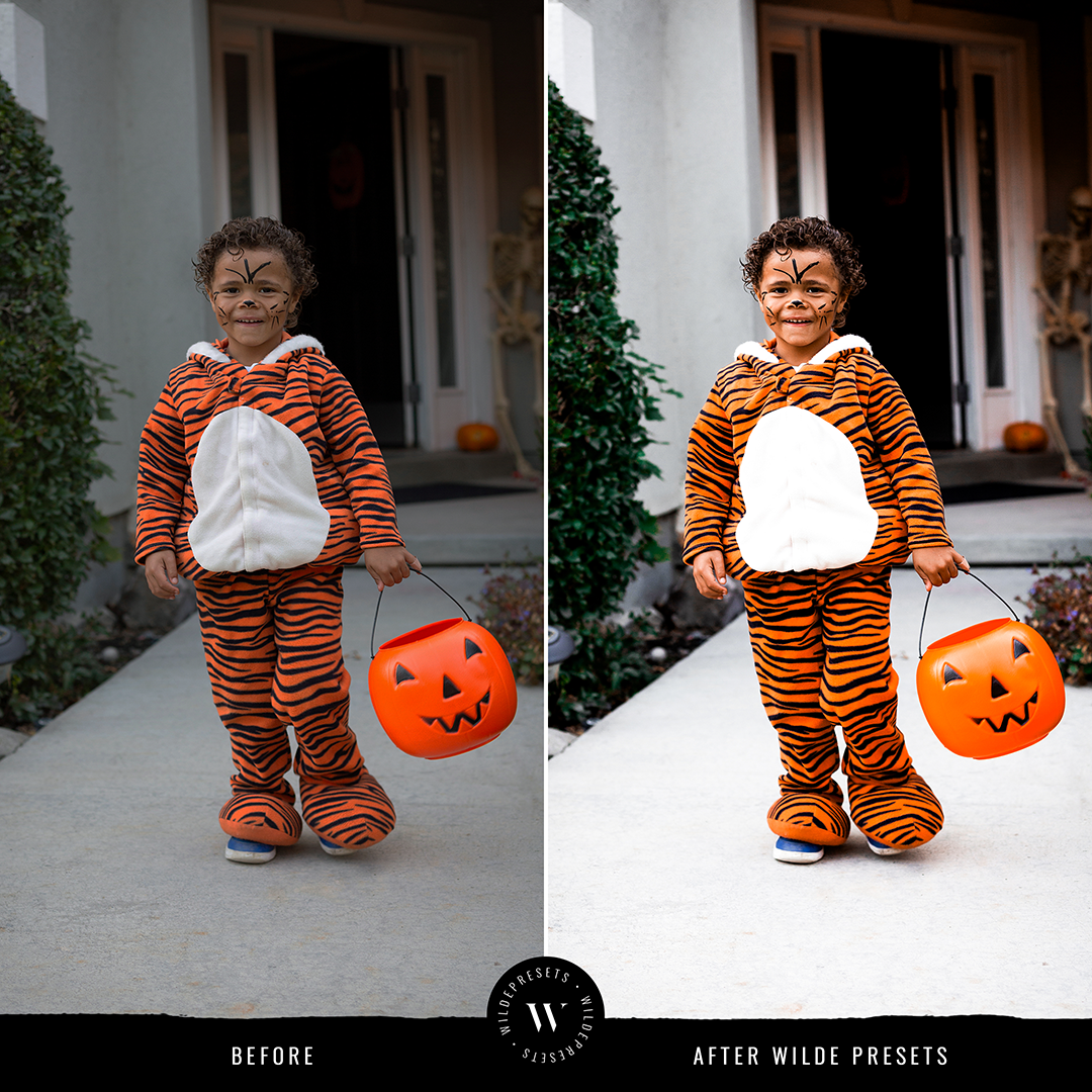 The Trick Or Treat Preset Collection